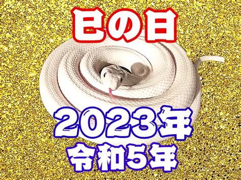 己巳 2023